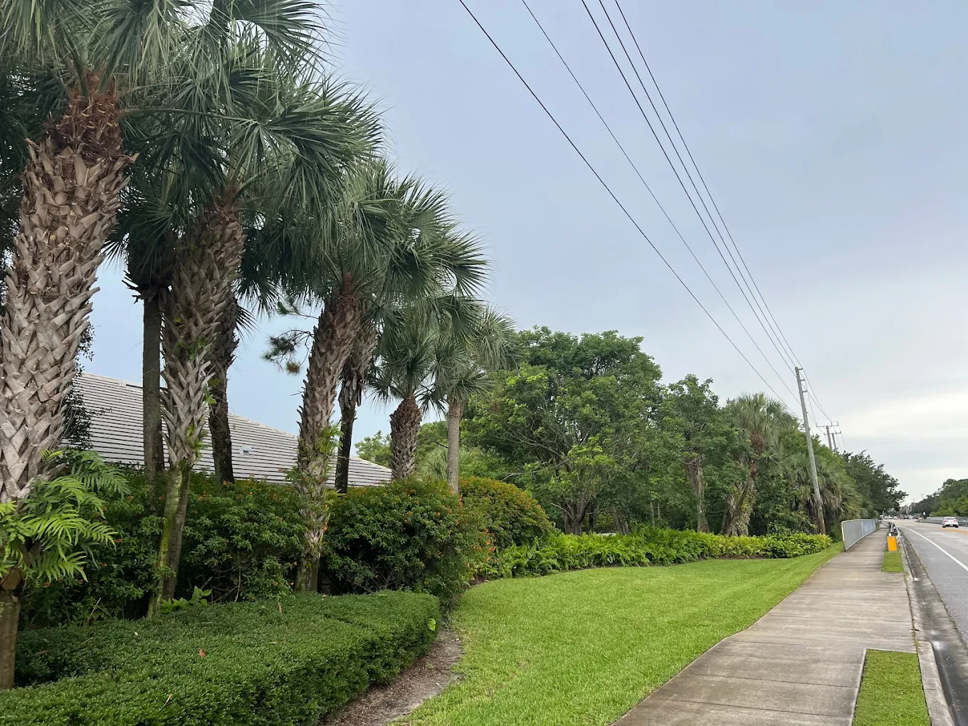 Landscaping and lot clearing work