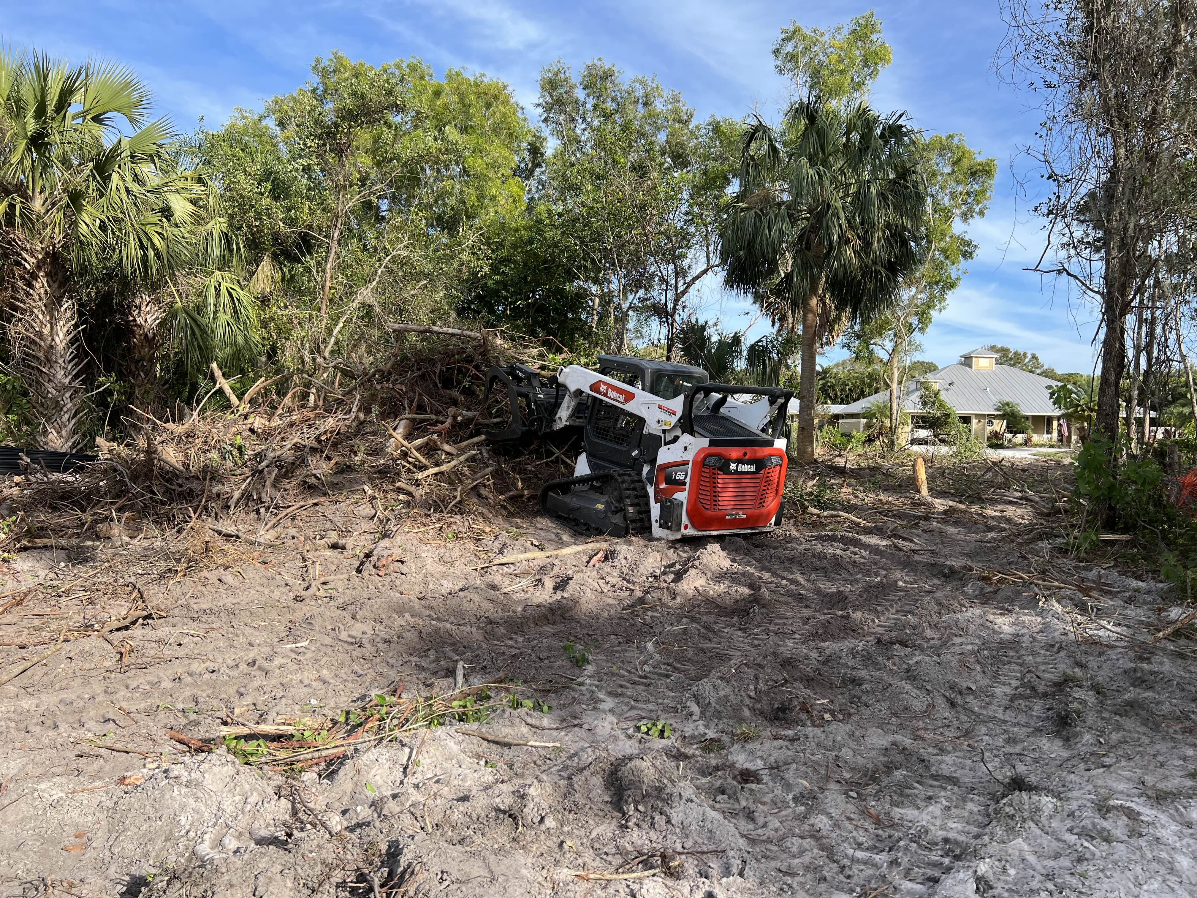 Lot Clearing