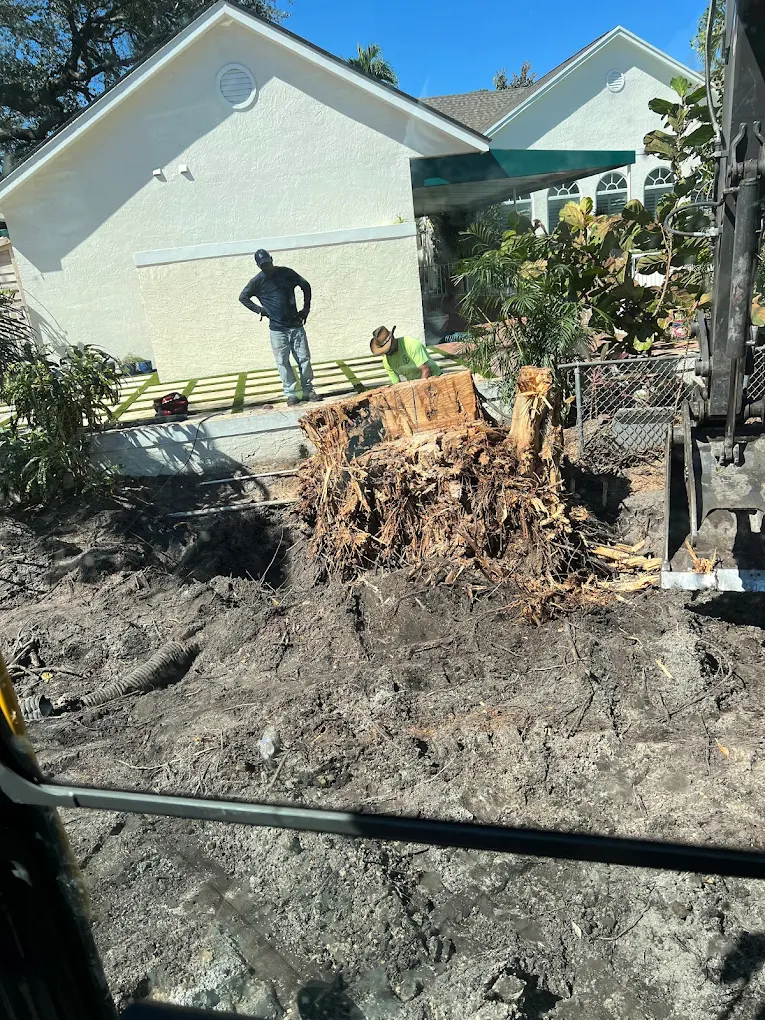 Stump Grinding