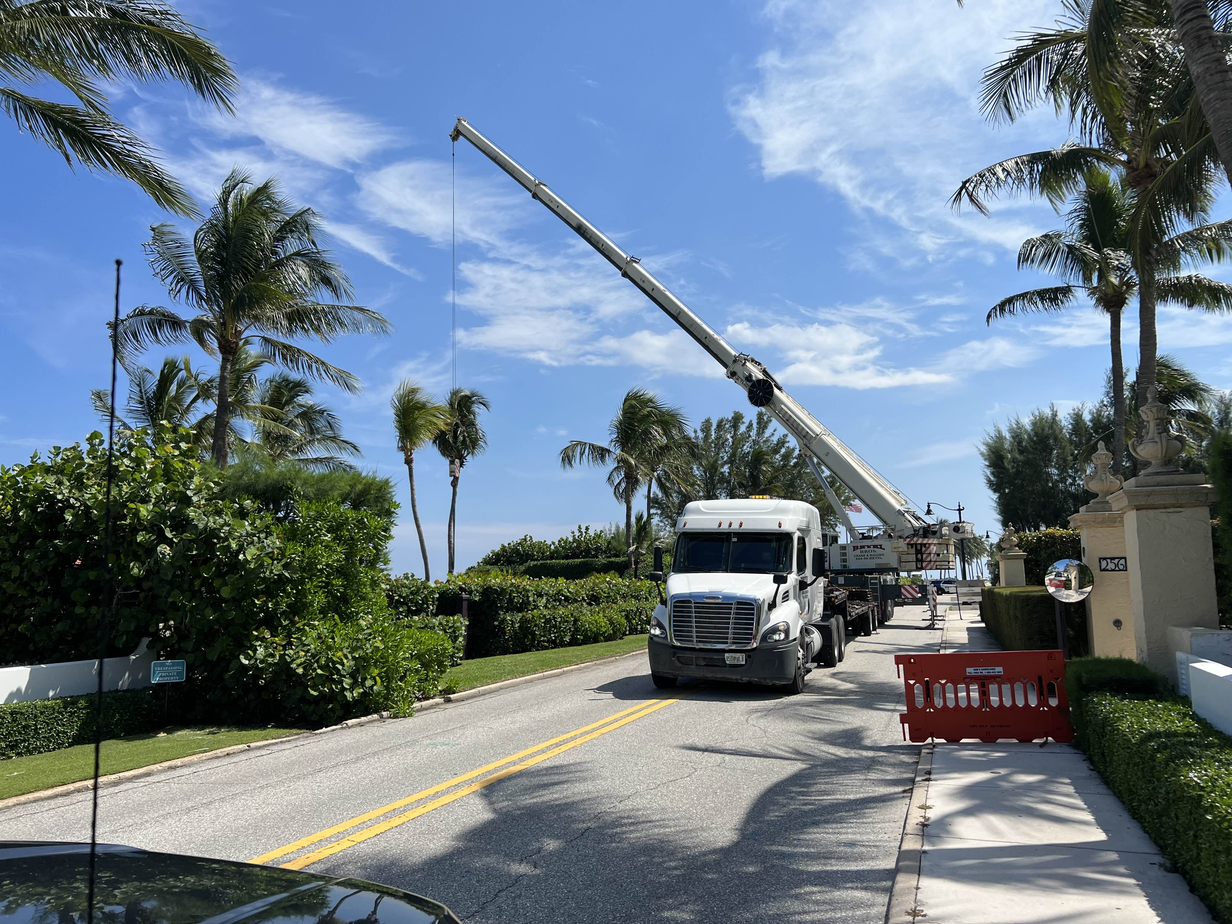 Tree Installation
